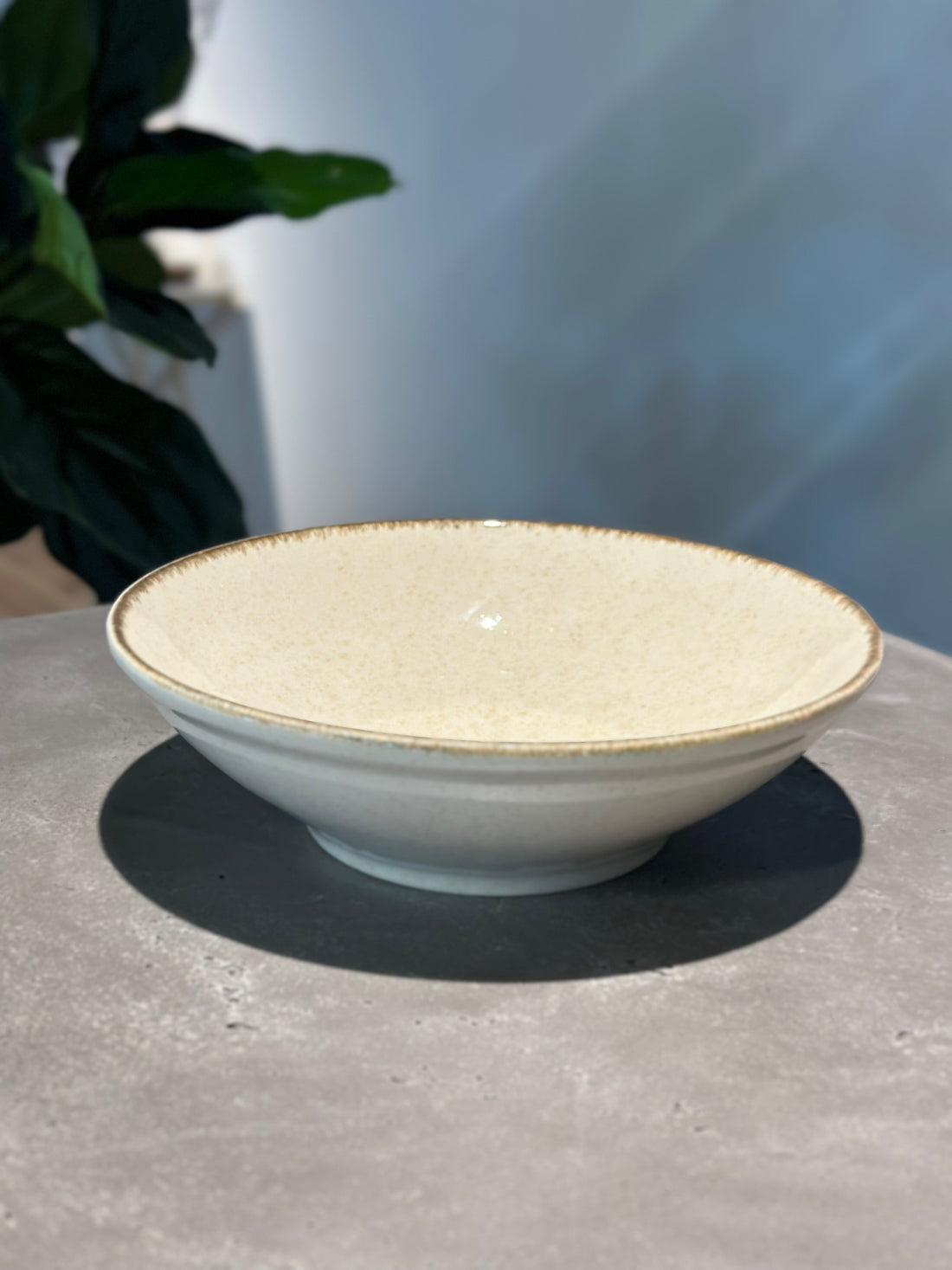 Pearl Color X Bowl Cinnamon 24cm